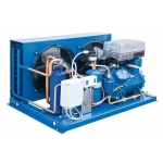 Компрессорно-конденсаторный агрегат Frascold LaBlu LB-D313Y-0Y-2M