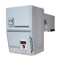 Моноблок Zanotti BZN110T01F