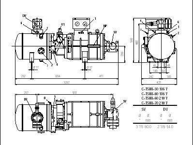 frascold C-TSH8 60 210Y